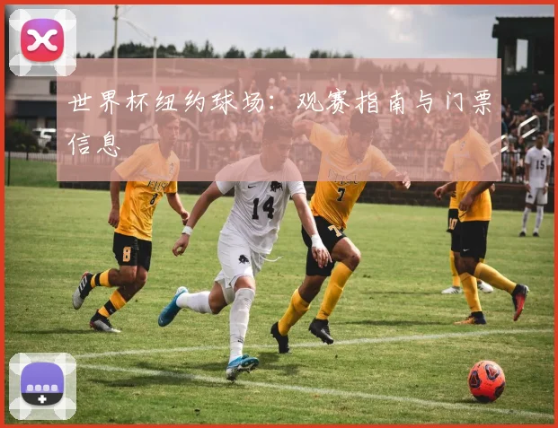 世界杯纽约球场：观赛指南与门票信息